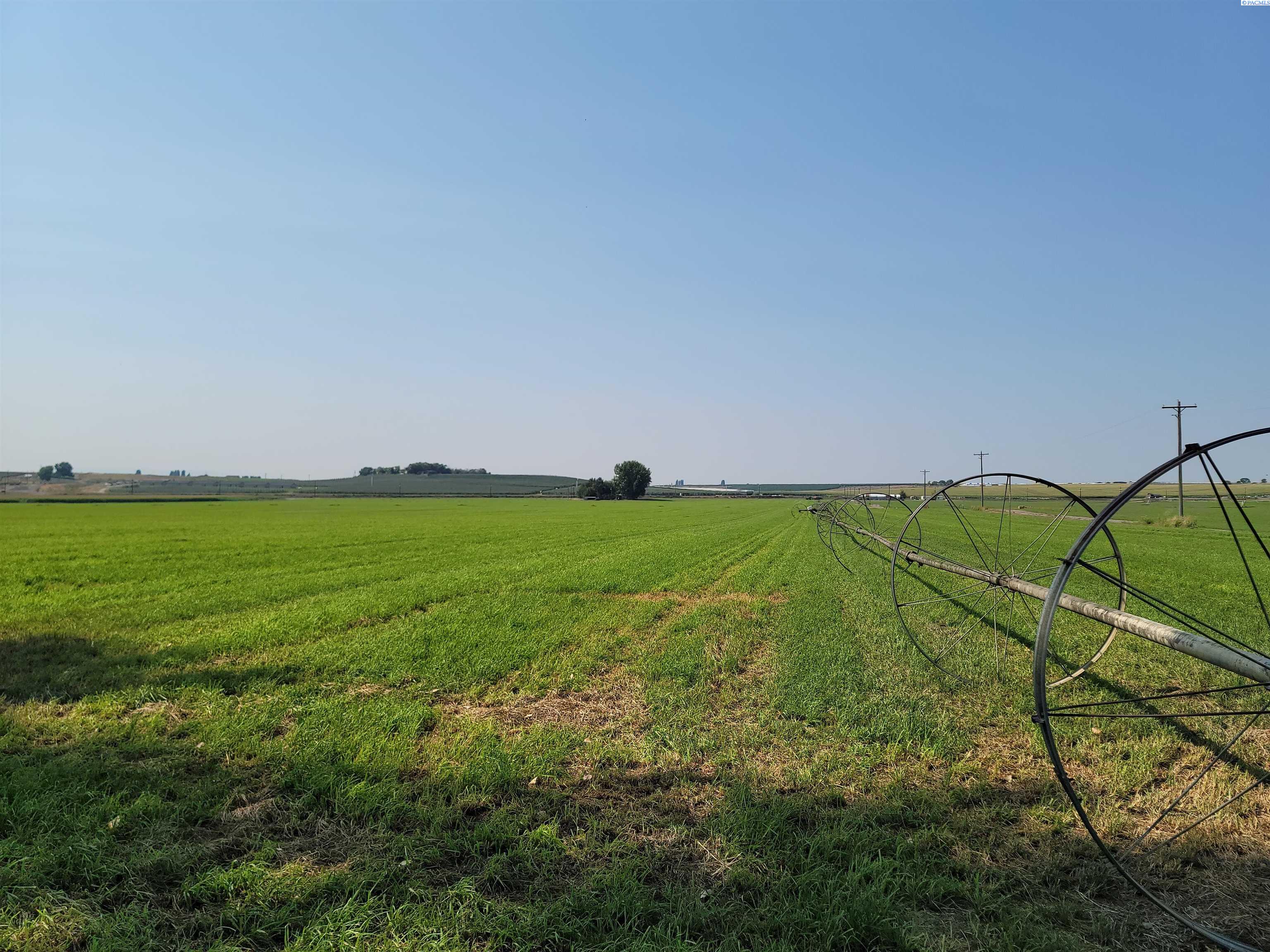 Albany RD, Othello, Washington 99344, 0 , 0 ,0,Agricultural Land,For Sale,Albany RD,0,287501