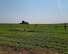 Albany RD, Othello, Washington 99344, 0 , 0 ,0,Agricultural Land,For Sale,Albany RD,0,287501