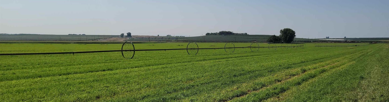 Albany RD, Othello, Washington 99344, 0 , 0 ,0,Agricultural Land,For Sale,Albany RD,0,287501