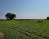 Albany RD, Othello, Washington 99344, 0 , 0 ,0,Agricultural Land,For Sale,Albany RD,0,287501