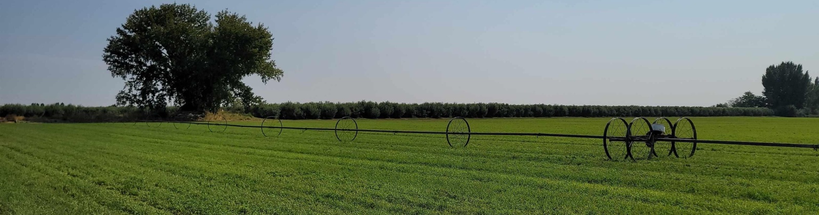 Albany RD, Othello, Washington 99344, 0 , 0 ,0,Agricultural Land,For Sale,Albany RD,0,287501