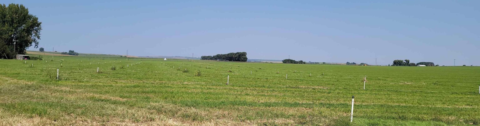 Albany RD, Othello, Washington 99344, 0 , 0 ,0,Agricultural Land,For Sale,Albany RD,0,287501