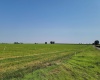 Albany RD, Othello, Washington 99344, 0 , 0 ,0,Agricultural Land,For Sale,Albany RD,0,287501