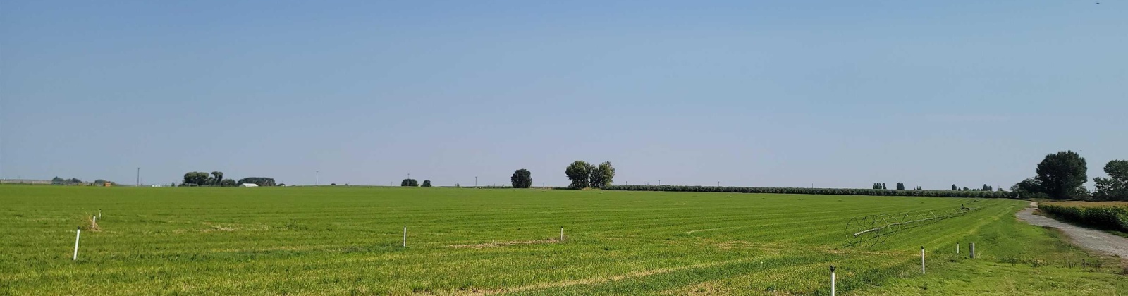 Albany RD, Othello, Washington 99344, 0 , 0 ,0,Agricultural Land,For Sale,Albany RD,0,287501