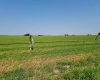 Albany RD, Othello, Washington 99344, 0 , 0 ,0,Agricultural Land,For Sale,Albany RD,0,287501