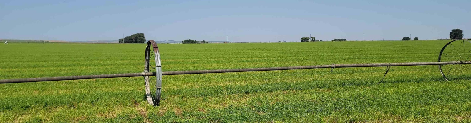 Albany RD, Othello, Washington 99344, 0 , 0 ,0,Agricultural Land,For Sale,Albany RD,0,287501