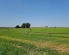 Albany RD, Othello, Washington 99344, 0 , 0 ,0,Agricultural Land,For Sale,Albany RD,0,287501