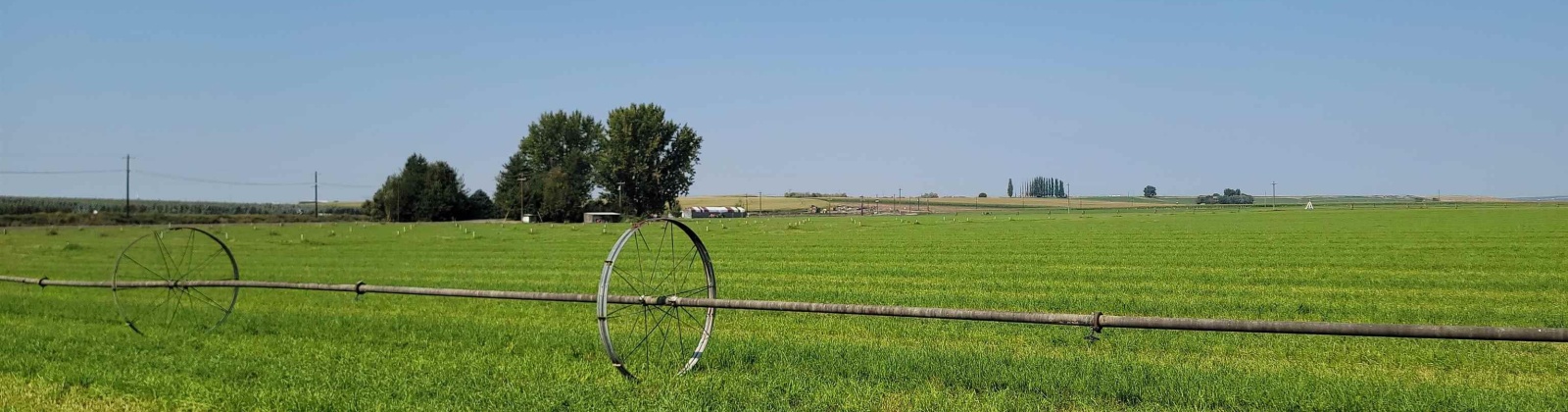 Albany RD, Othello, Washington 99344, 0 , 0 ,0,Agricultural Land,For Sale,Albany RD,0,287501