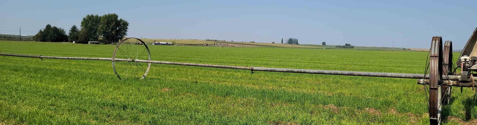 Albany RD, Othello, Washington 99344, 0 , 0 ,0,Agricultural Land,For Sale,Albany RD,0,287501