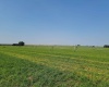 Albany RD, Othello, Washington 99344, 0 , 0 ,0,Agricultural Land,For Sale,Albany RD,0,287501