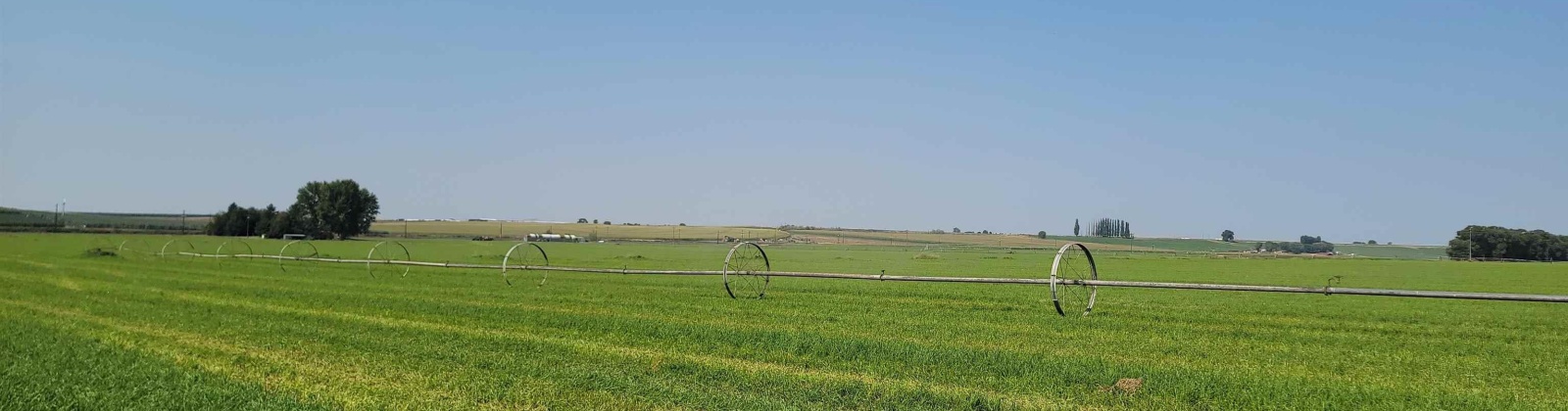 Albany RD, Othello, Washington 99344, 0 , 0 ,0,Agricultural Land,For Sale,Albany RD,0,287501