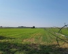 Albany RD, Othello, Washington 99344, 0 , 0 ,0,Agricultural Land,For Sale,Albany RD,0,287501