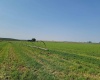 Albany RD, Othello, Washington 99344, 0 , 0 ,0,Agricultural Land,For Sale,Albany RD,0,287501
