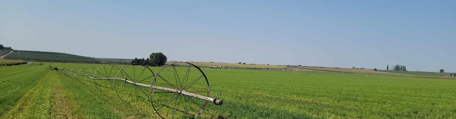 Albany RD, Othello, Washington 99344, 0 , 0 ,0,Agricultural Land,For Sale,Albany RD,0,287501