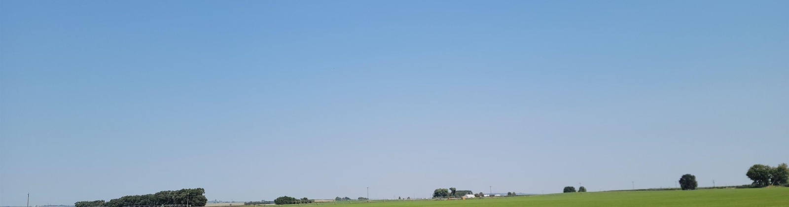 Albany RD, Othello, Washington 99344, 0 , 0 ,0,Agricultural Land,For Sale,Albany RD,0,287501