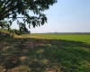 Albany RD, Othello, Washington 99344, 0 , 0 ,0,Agricultural Land,For Sale,Albany RD,0,287501