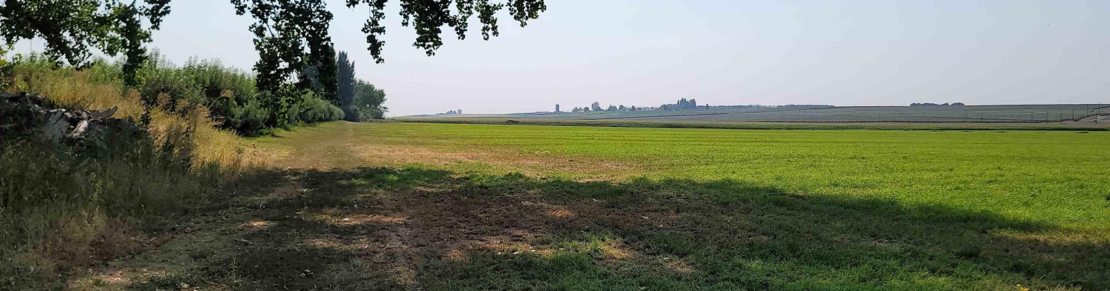 Albany RD, Othello, Washington 99344, 0 , 0 ,0,Agricultural Land,For Sale,Albany RD,0,287501