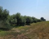 Albany RD, Othello, Washington 99344, 0 , 0 ,0,Agricultural Land,For Sale,Albany RD,0,287501
