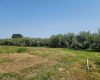 Albany RD, Othello, Washington 99344, 0 , 0 ,0,Agricultural Land,For Sale,Albany RD,0,287501