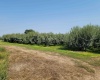 Albany RD, Othello, Washington 99344, 0 , 0 ,0,Agricultural Land,For Sale,Albany RD,0,287501