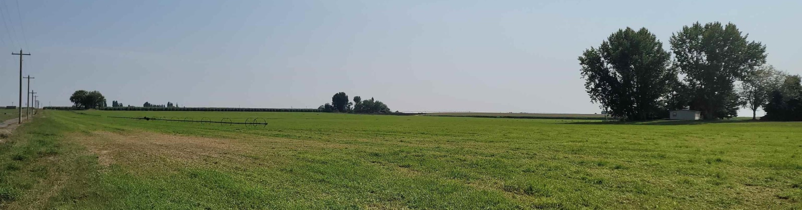 Albany RD, Othello, Washington 99344, 0 , 0 ,0,Agricultural Land,For Sale,Albany RD,0,287501
