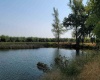Albany RD, Othello, Washington 99344, 0 , 0 ,0,Agricultural Land,For Sale,Albany RD,0,287501