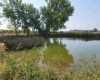 Albany RD, Othello, Washington 99344, 0 , 0 ,0,Agricultural Land,For Sale,Albany RD,0,287501