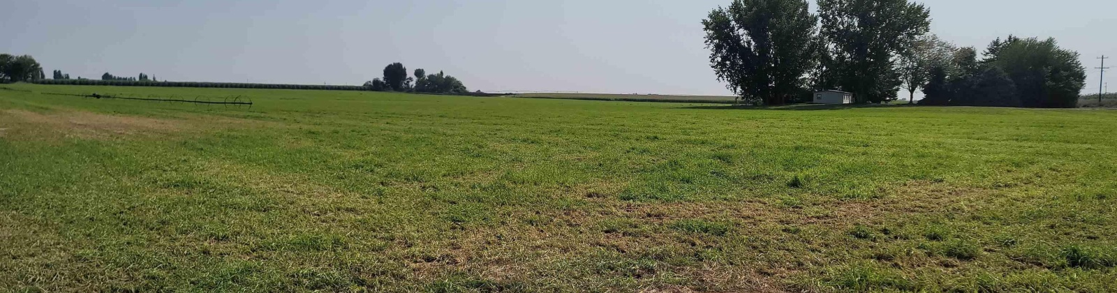 Albany RD, Othello, Washington 99344, 0 , 0 ,0,Agricultural Land,For Sale,Albany RD,0,287501