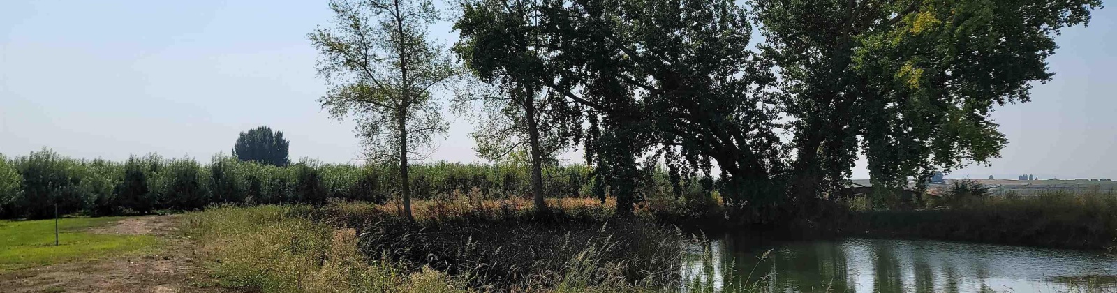 Albany RD, Othello, Washington 99344, 0 , 0 ,0,Agricultural Land,For Sale,Albany RD,0,287501