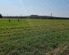 Albany RD, Othello, Washington 99344, 0 , 0 ,0,Agricultural Land,For Sale,Albany RD,0,287501