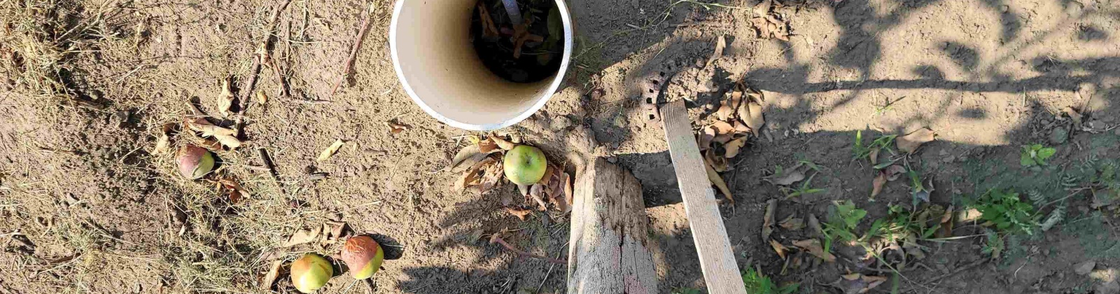 Albany RD, Othello, Washington 99344, 0 , 0 ,0,Agricultural Land,For Sale,Albany RD,0,287501