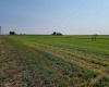 Albany RD, Othello, Washington 99344, 0 , 0 ,0,Agricultural Land,For Sale,Albany RD,0,287501