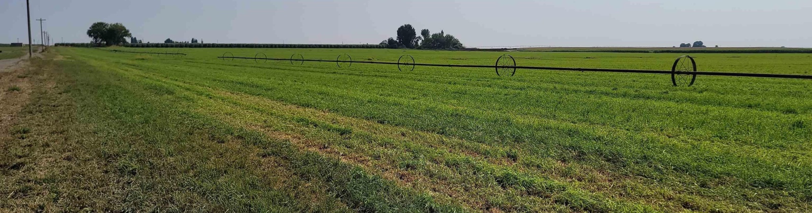 Albany RD, Othello, Washington 99344, 0 , 0 ,0,Agricultural Land,For Sale,Albany RD,0,287501
