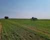Albany RD, Othello, Washington 99344, 0 , 0 ,0,Agricultural Land,For Sale,Albany RD,0,287501