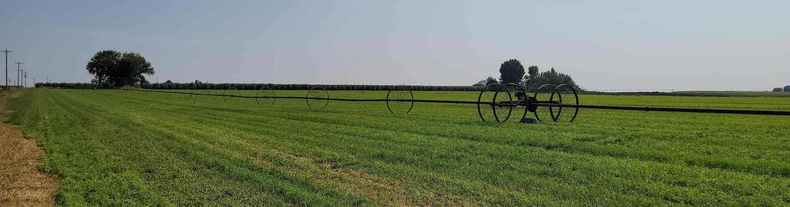 Albany RD, Othello, Washington 99344, 0 , 0 ,0,Agricultural Land,For Sale,Albany RD,0,287501