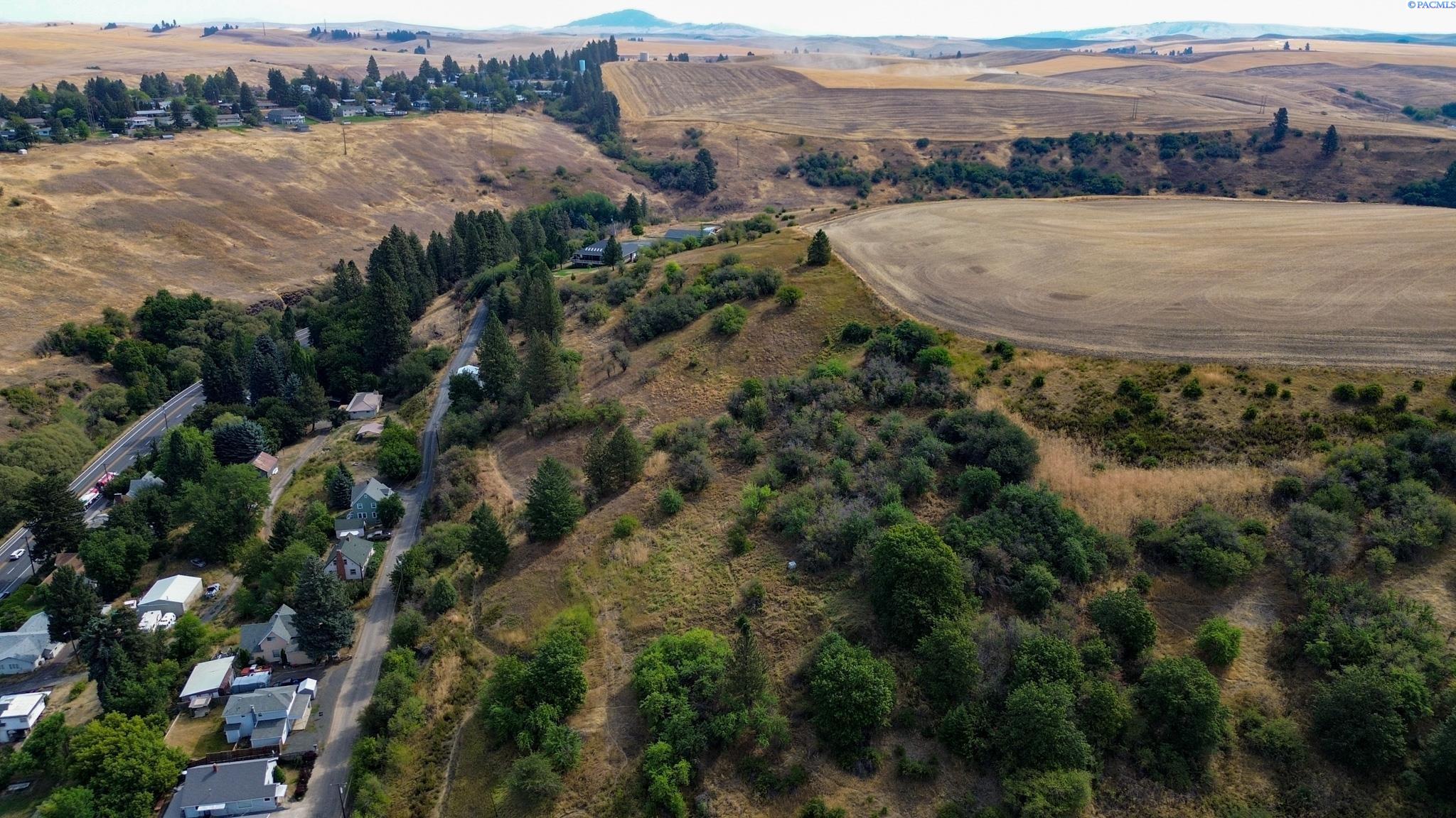 Fairview, Colfax, Washington 99111-0000, 0 , 0 ,0,Land/lots,For Sale,Fairview,0,287523