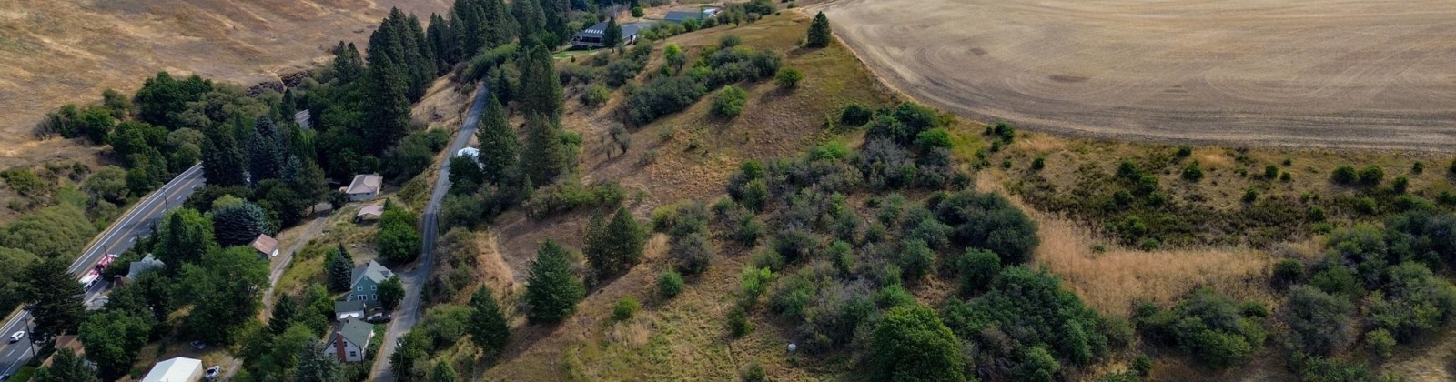 Fairview, Colfax, Washington 99111-0000, 0 , 0 ,0,Land/lots,For Sale,Fairview,0,287523
