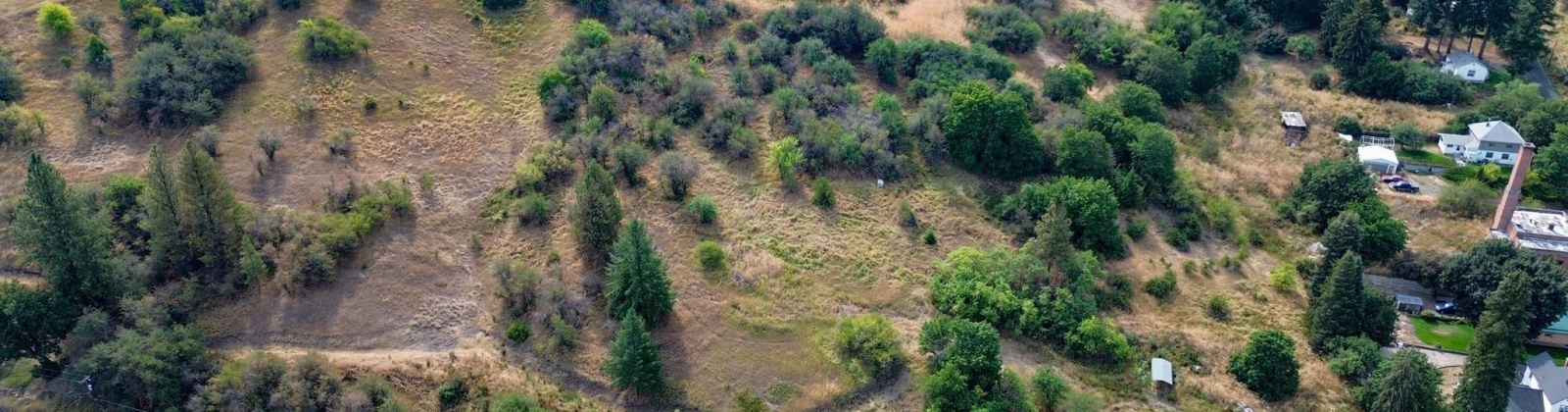 Fairview, Colfax, Washington 99111-0000, 0 , 0 ,0,Land/lots,For Sale,Fairview,0,287523