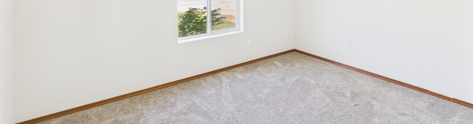 38th Ave, West Richland, Washington 99353, 4 Bedrooms Bedrooms, 0 ,2 BathroomsBathrooms,Houses,For Rent,38th Ave,0,287532