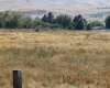 North River Rd, Prosser, Washington 99350, 0 , 0 ,0,Land/lots,For Sale,North River Rd,0,287555