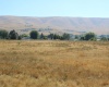 North River Rd, Prosser, Washington 99350, 0 , 0 ,0,Land/lots,For Sale,North River Rd,0,287555