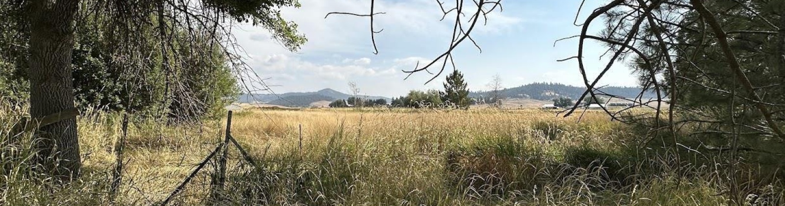 Adams St., Farmington, Washington 99128, 3 Bedrooms Bedrooms, 0 ,2 BathroomsBathrooms,Manufactured Homes,For Sale,Adams St.,0,287554