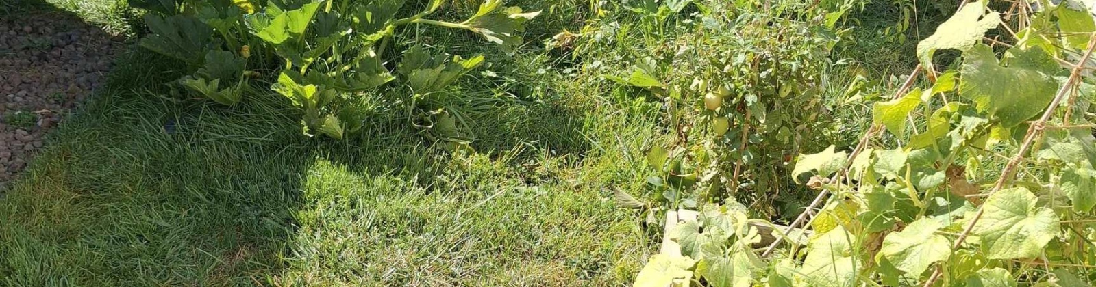 Ismo Loop, Sunnyside, Washington 98944, 3 Bedrooms Bedrooms, 0 ,2 BathroomsBathrooms,Houses,For Sale,Ismo Loop,0,287553