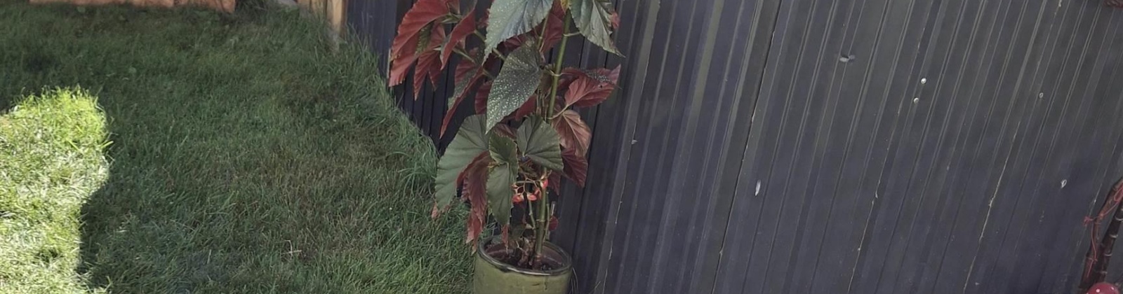 Ismo Loop, Sunnyside, Washington 98944, 3 Bedrooms Bedrooms, 0 ,2 BathroomsBathrooms,Houses,For Sale,Ismo Loop,0,287553