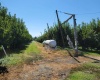 Belma Rd, Grandview, Washington 98930, 0 , 0 ,0,Agricultural Land,For Sale,Belma Rd,0,287576
