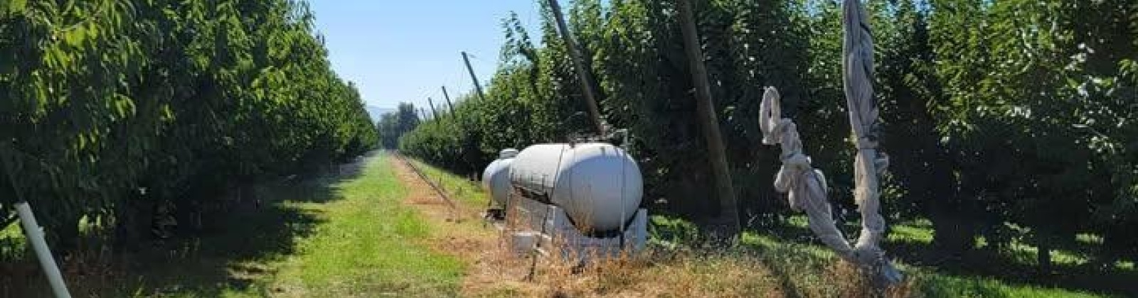 Belma Rd, Grandview, Washington 98930, 0 , 0 ,0,Agricultural Land,For Sale,Belma Rd,0,287576