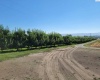 Belma Rd, Grandview, Washington 98930, 0 , 0 ,0,Agricultural Land,For Sale,Belma Rd,0,287576