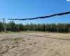 Belma Rd, Grandview, Washington 98930, 0 , 0 ,0,Agricultural Land,For Sale,Belma Rd,0,287576