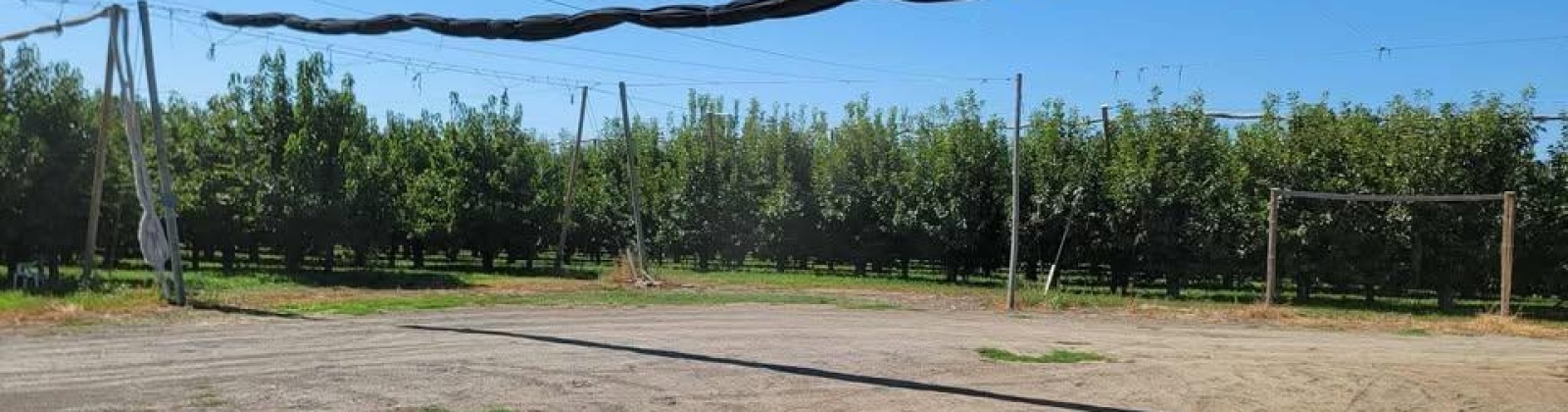 Belma Rd, Grandview, Washington 98930, 0 , 0 ,0,Agricultural Land,For Sale,Belma Rd,0,287576