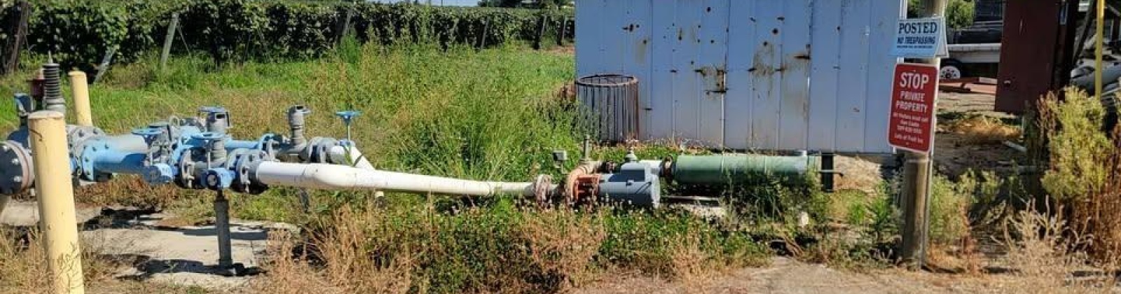 Belma Rd, Grandview, Washington 98930, 0 , 0 ,0,Agricultural Land,For Sale,Belma Rd,0,287576